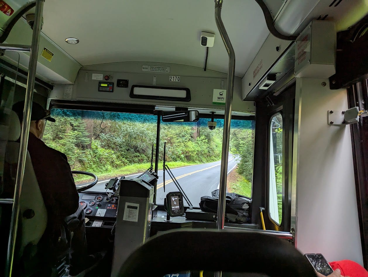 beautiful forest through a bus windshield