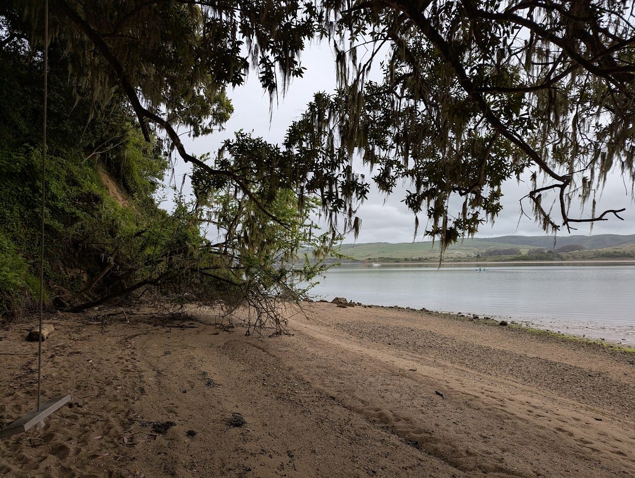 a beach, a rope swing, and an oak tree with beard lichen