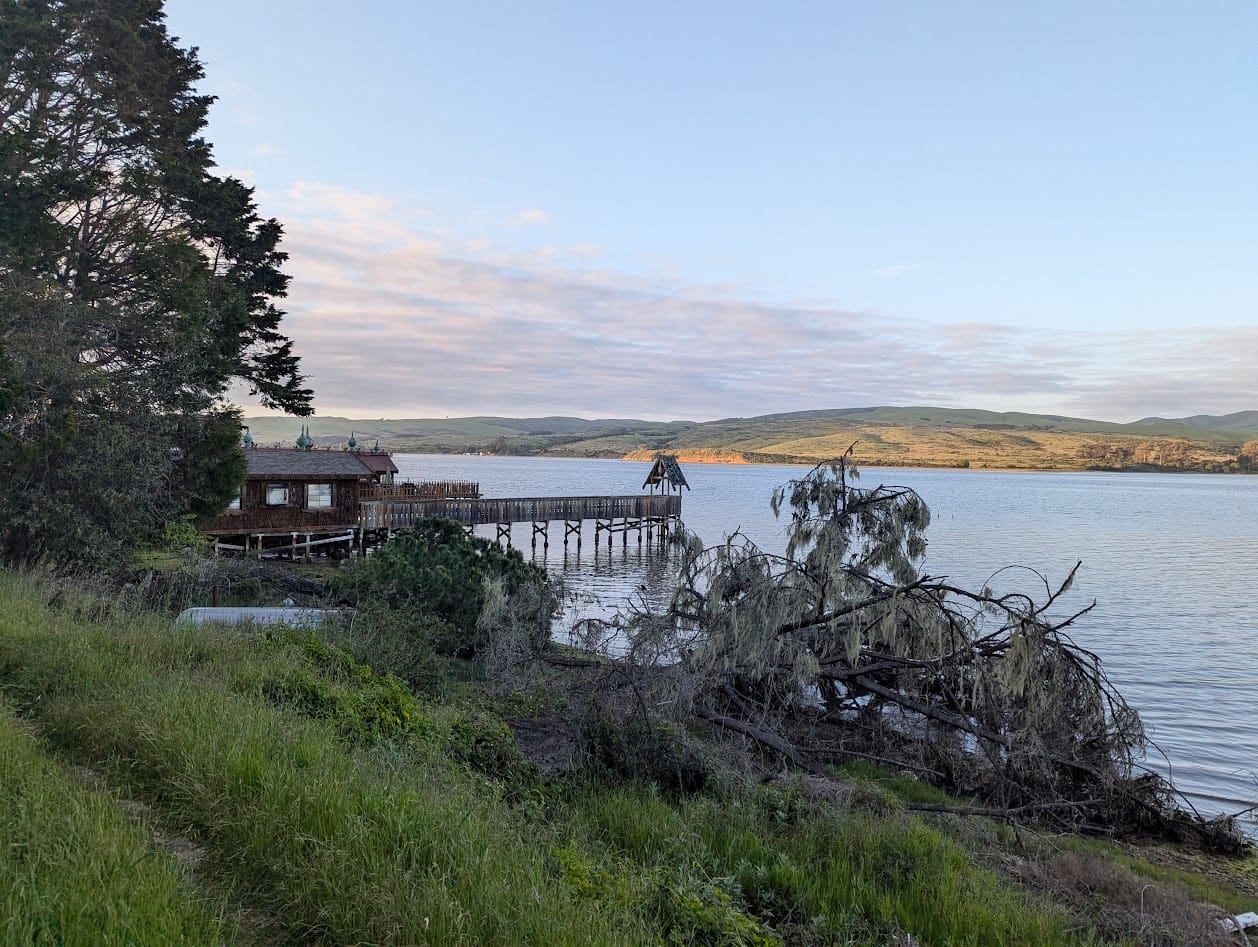 a dock and some trees, and tomales bay at sunset