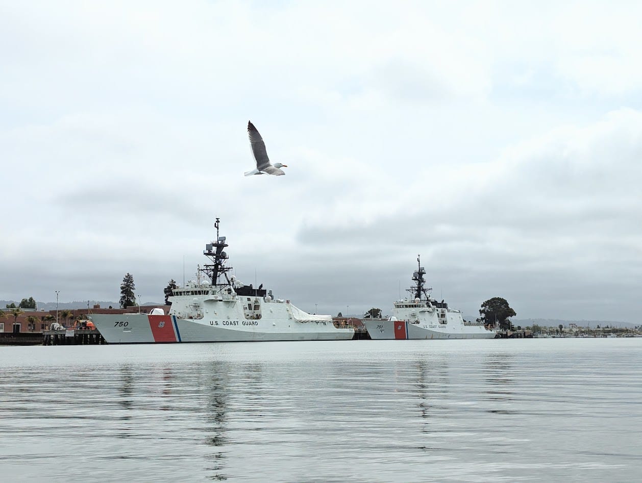 a seagull flying overhead, and two big coast guard cutters