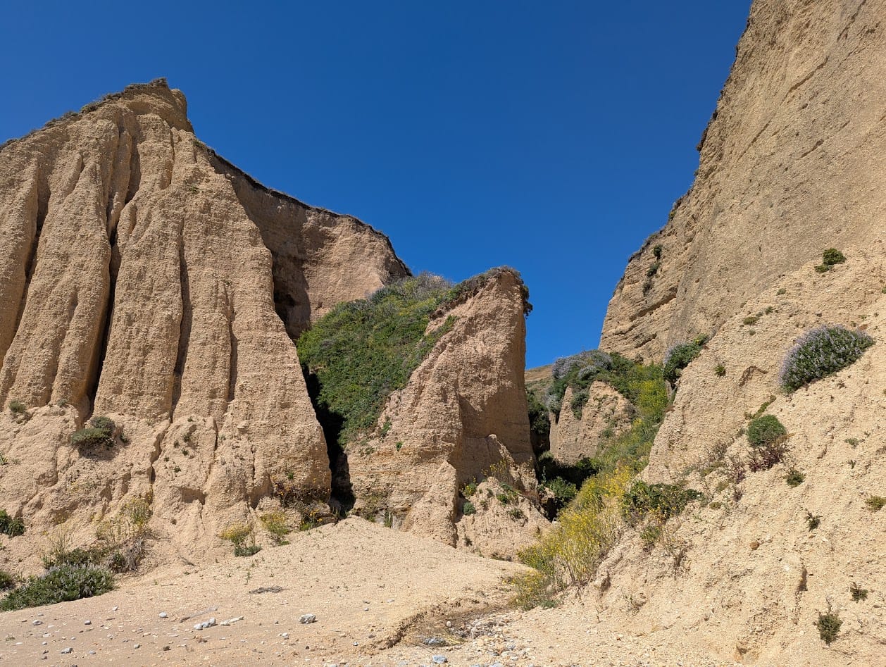 jagged stone cliffs on the beach, with plants growing on parts of them
