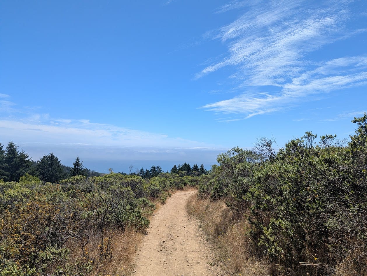 trail through scrub looking at the ocean
