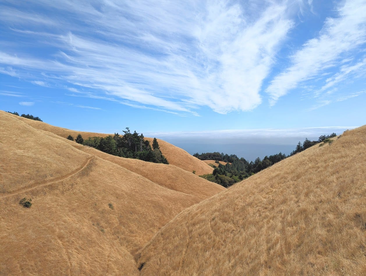 a meandering path through dry, grassy hills, overlooking the ocean