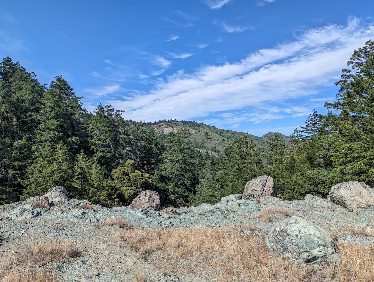 serpentine rock and a mountain in the distance