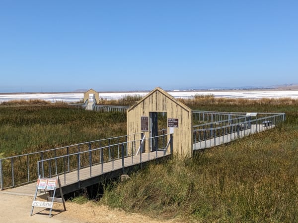 boardwalk through a marsh, with little house shaped gates
