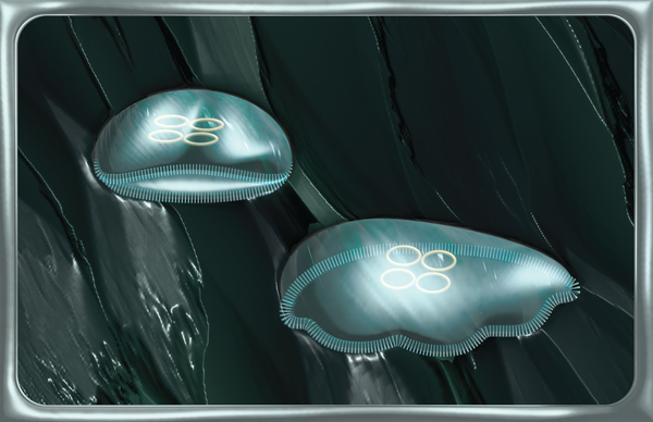 digital collage of two moon jellyfish in dark green water, using lots of weird rendering materials