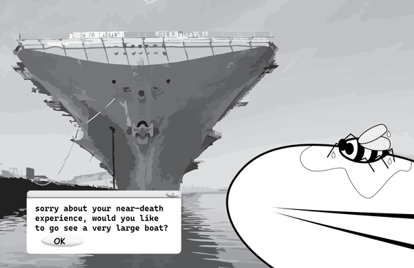 soggy bee on a paddle, and a big ship