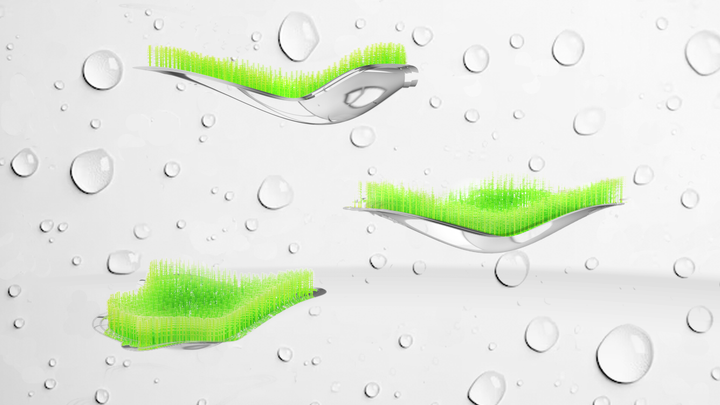 silver pools of green horsetails floating among water drops